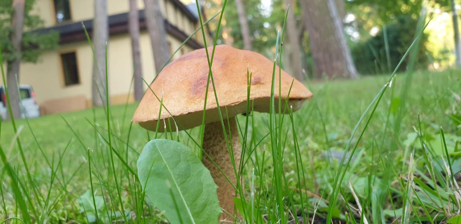 Villa Toskana Pogorzelica  Buitenkant foto