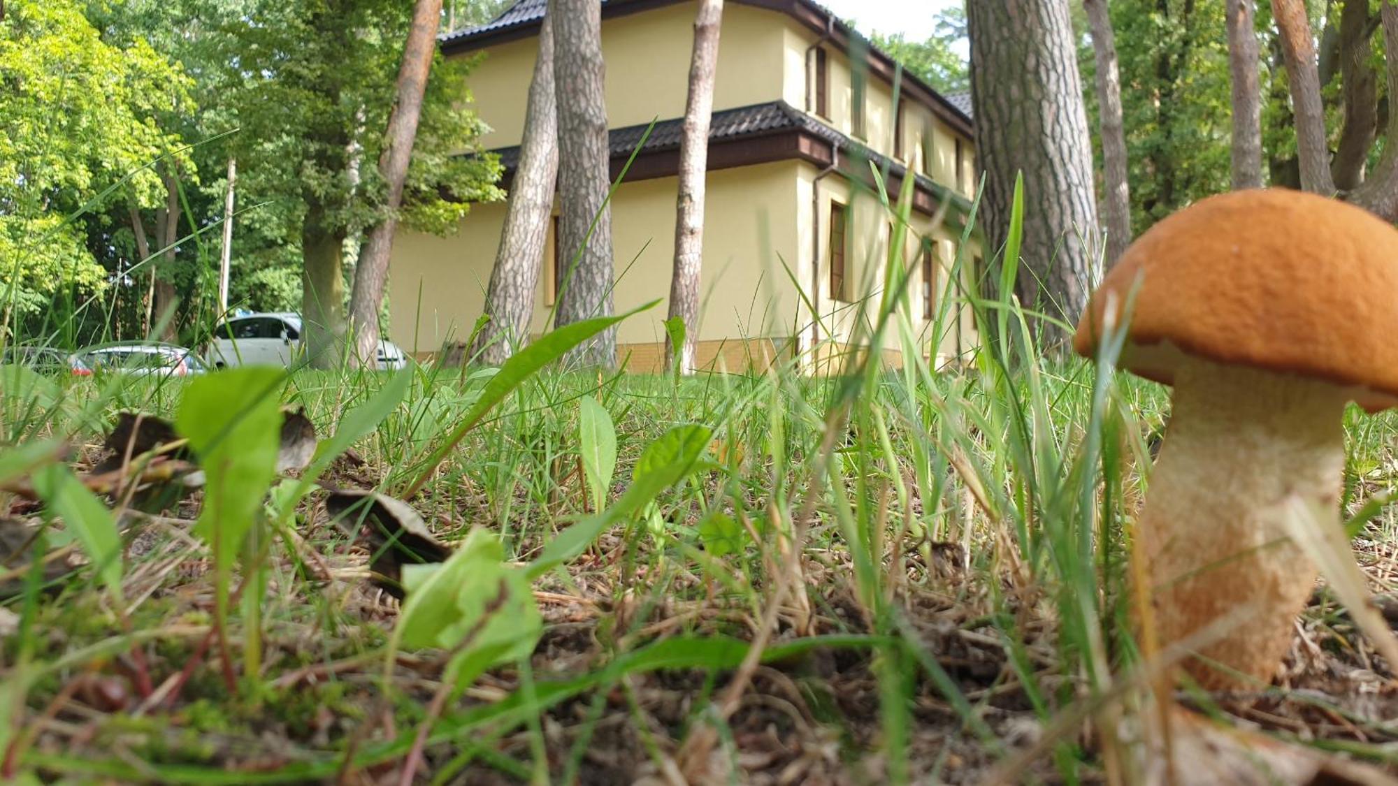 Villa Toskana Pogorzelica  Buitenkant foto